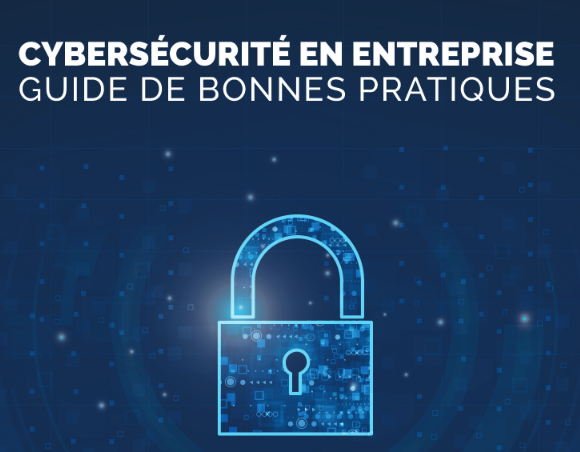 Guide de la cybersécurité en entreprises