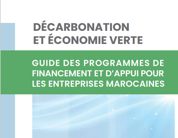 <span>Guide des Programmes de Financement en décarbonation</span>
