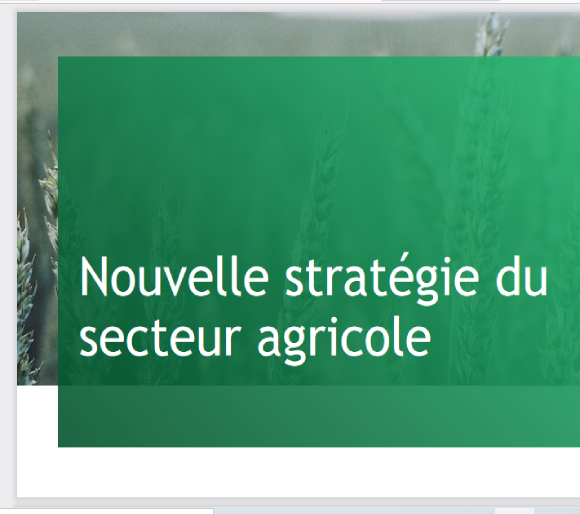 <span>Stratégie Green Generation</span>
